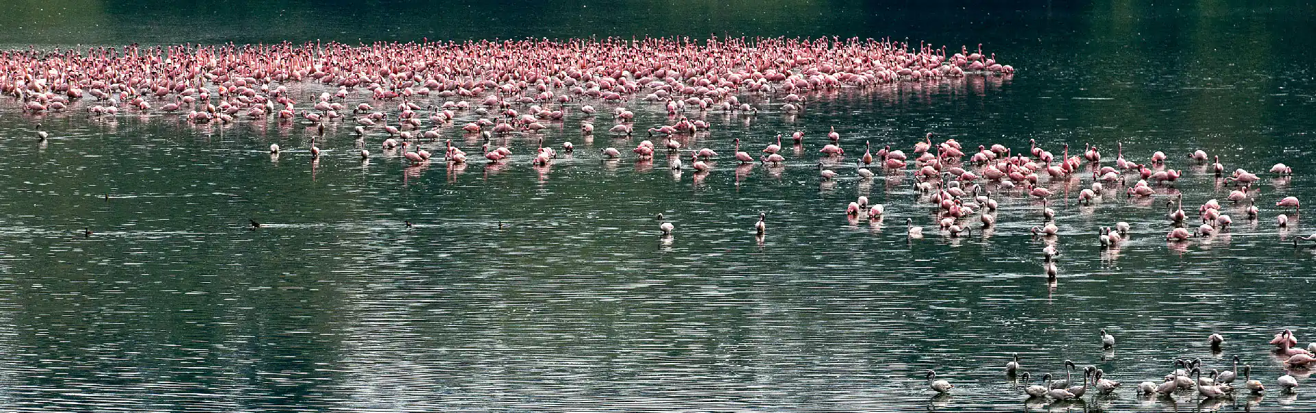 Safari to Murchison Falls and Kidepo Valley National Park Tour ETHOEA-18